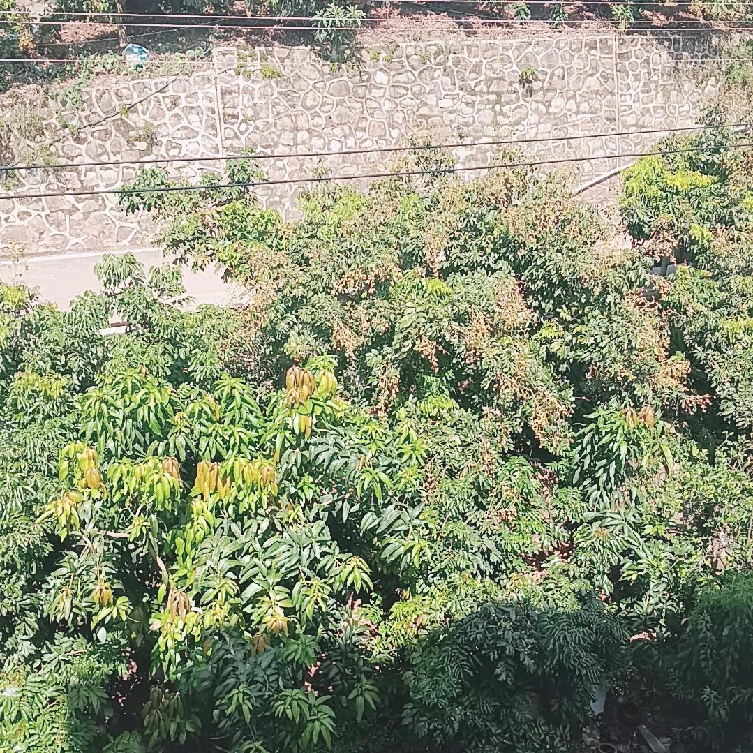 没人爱，单身哥，带个小男孩