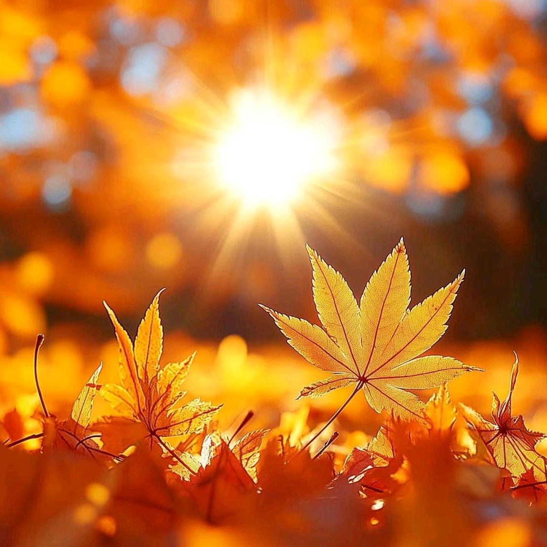 跟着旋律冒泡泡