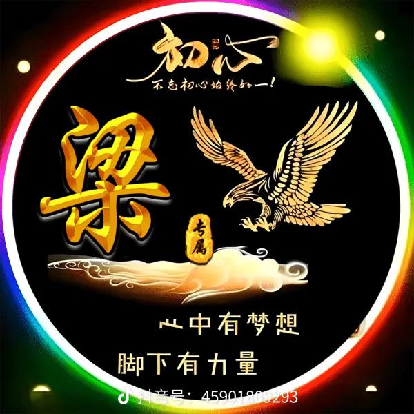 云中飞龙
