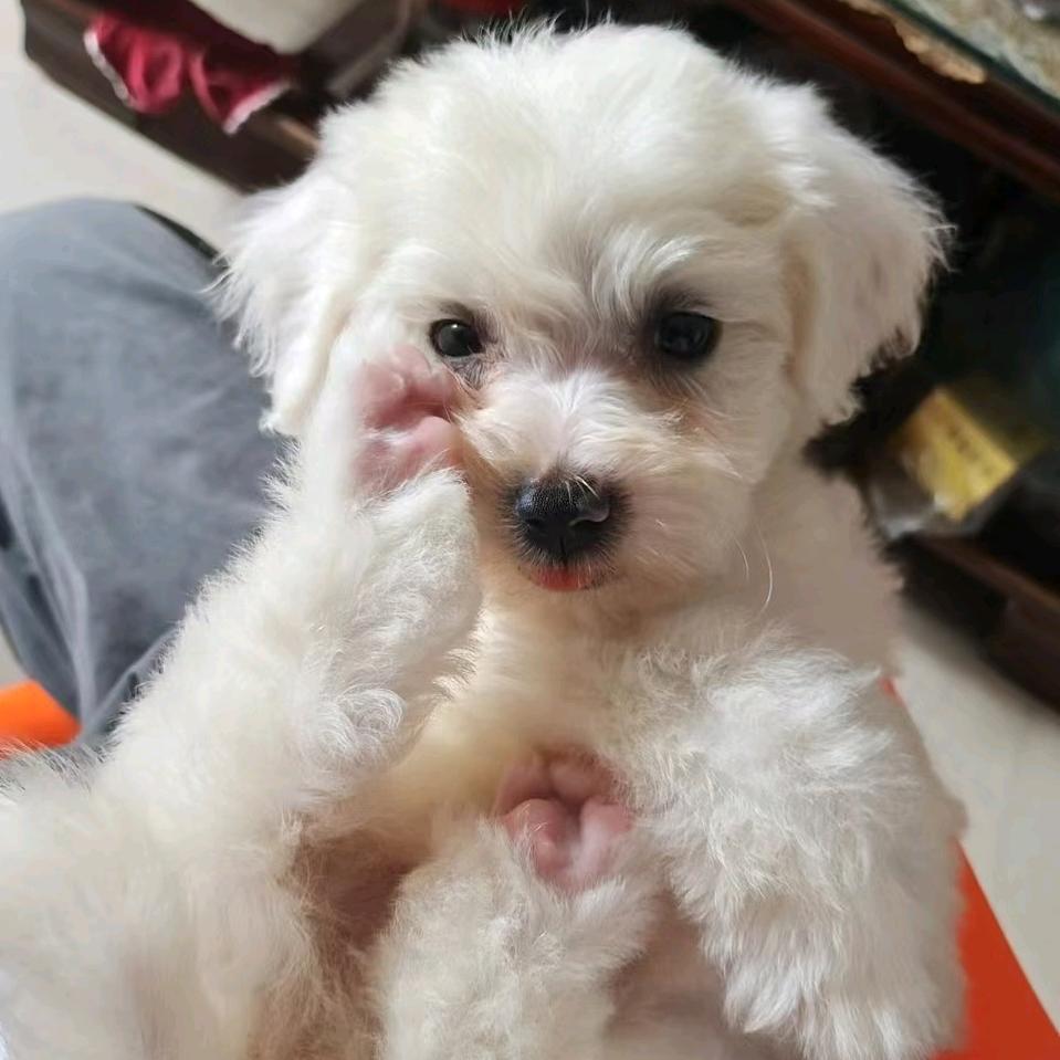 微潇