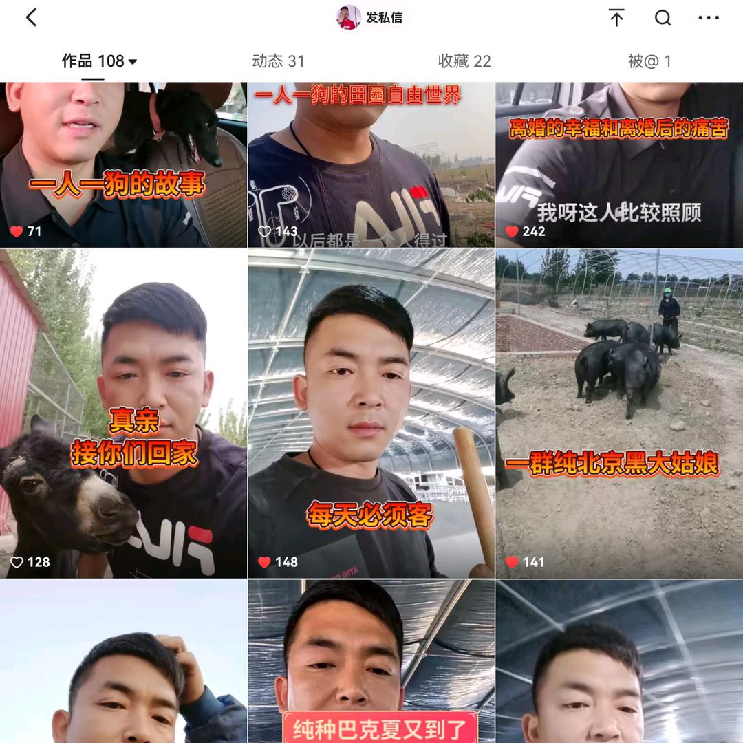 任丘强哥玄灵鸽苑