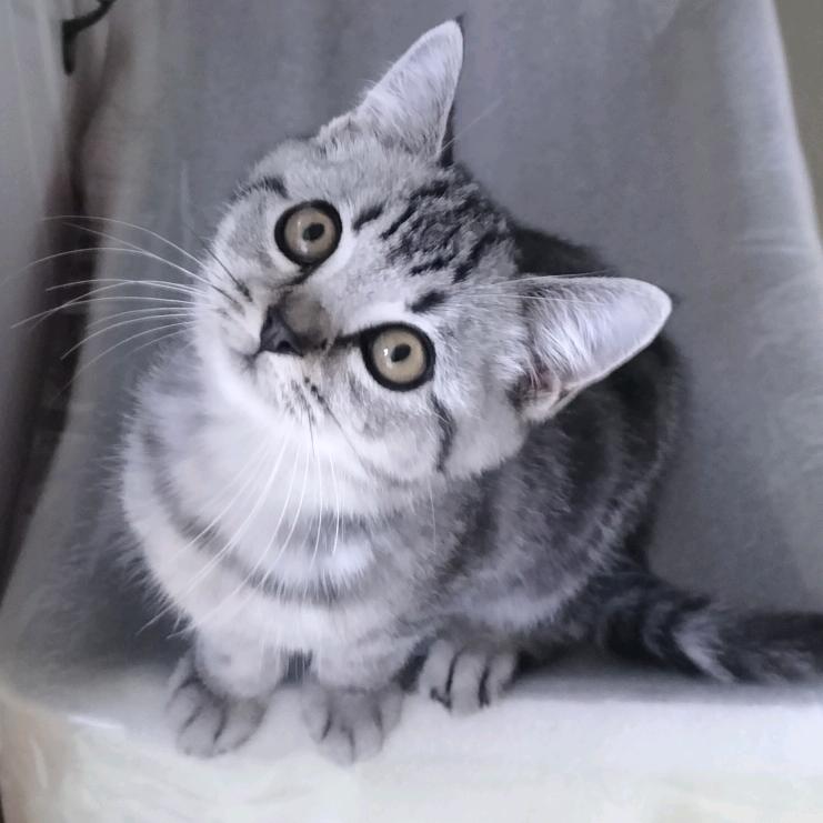 🐁⁰⁹.₁₁黄健℘࿐莽撞兄😂