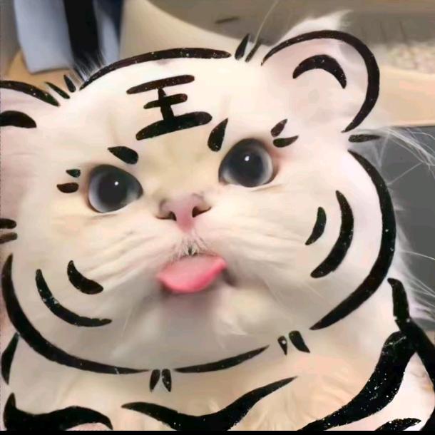 定陨