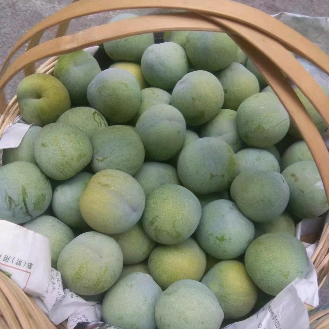 谭走鱼尾纹