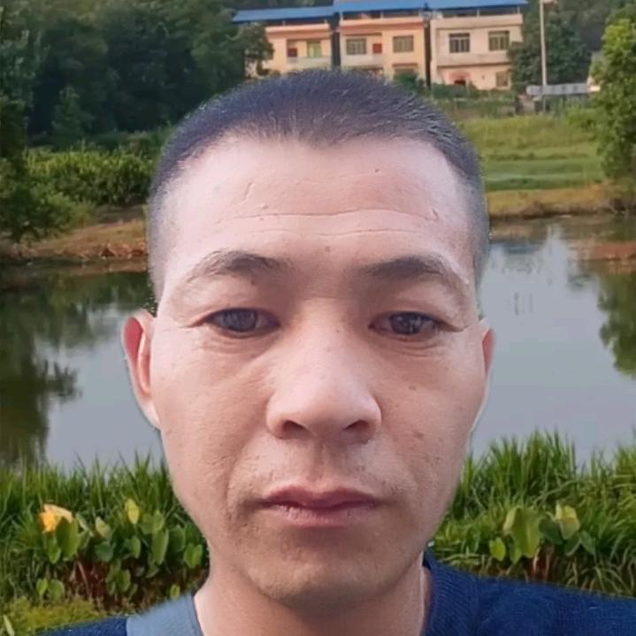 新鲜蔬菜批发零售野生草葯
