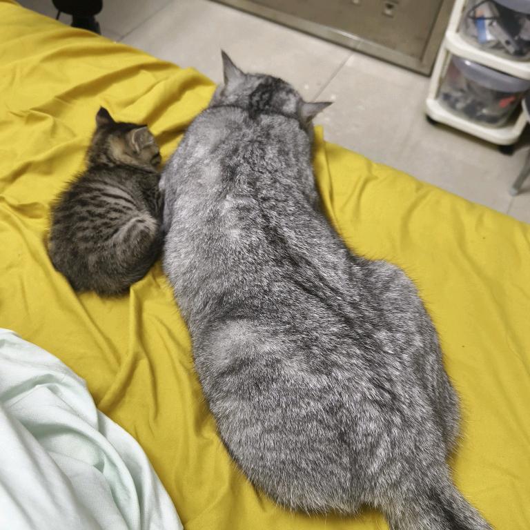 将大局逆转吧🌈