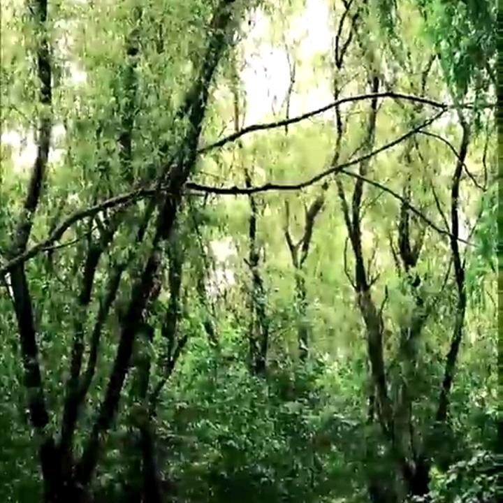 平平安安过一生