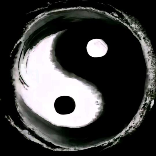 炎黄韭菜籽~小丽老师