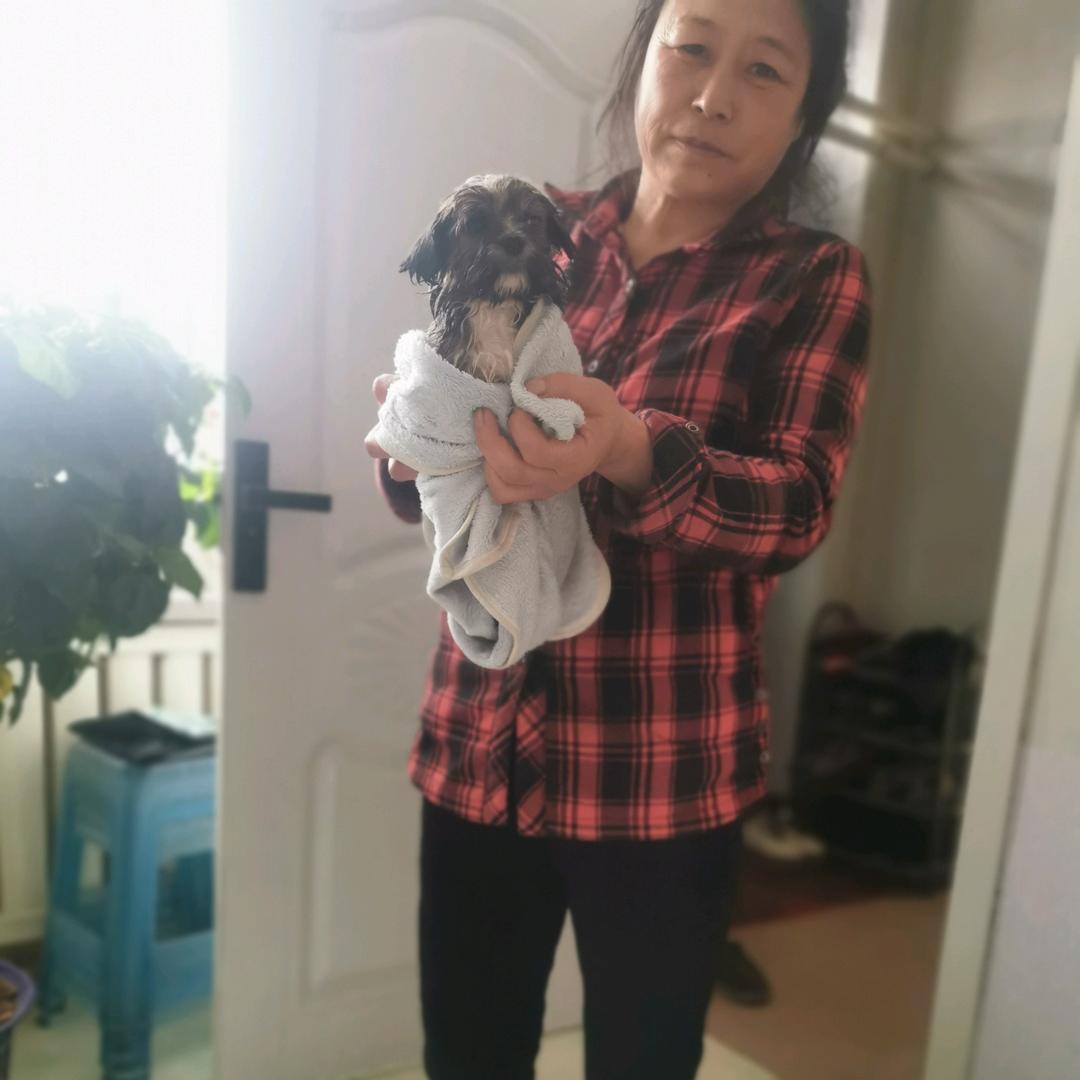 贺景斌