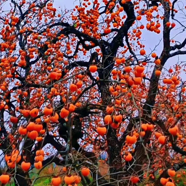 志仁泽雨养老服务中心