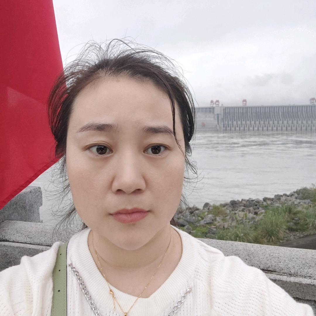 风雨中的牡丹