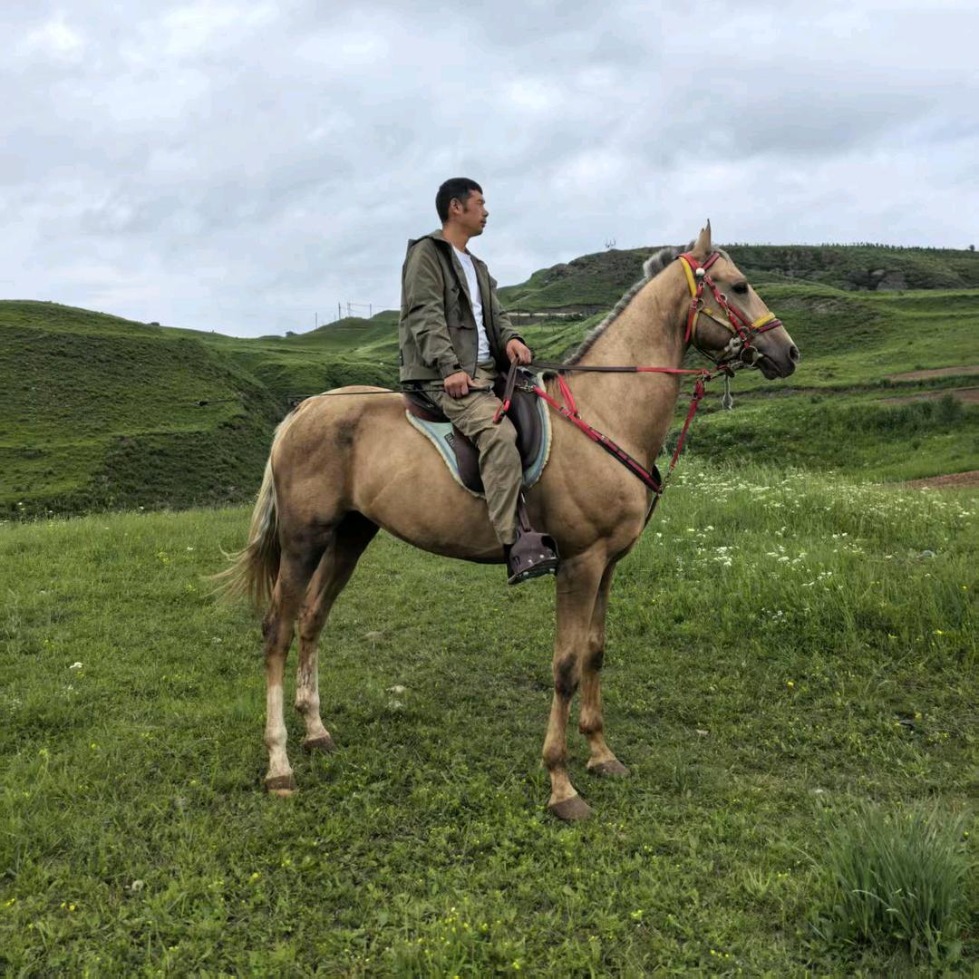 越马野途 ，阿，文