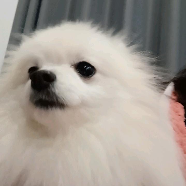 唉哟