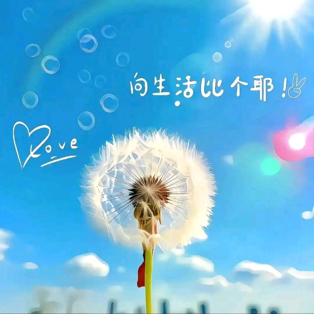 爱干净的小娘子
