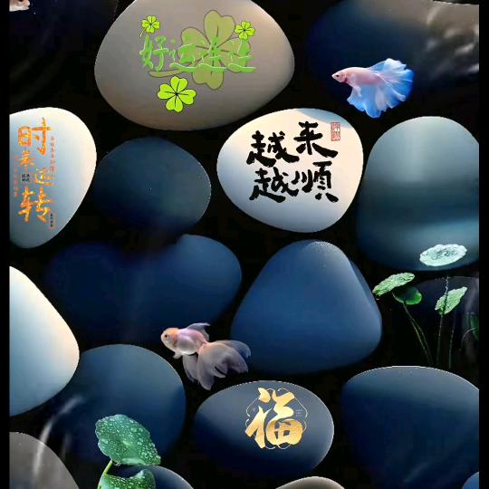 微笑  .不失礼