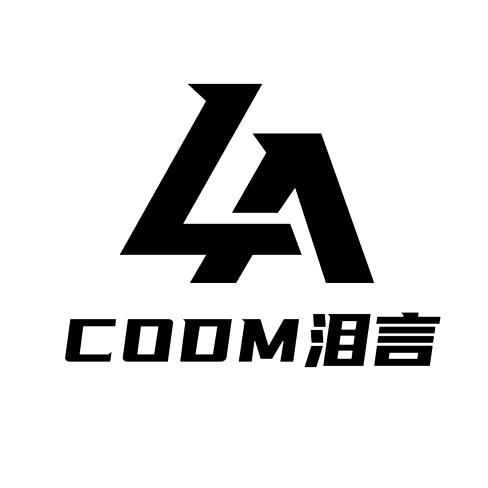 CODM泪言(HDR代言人)