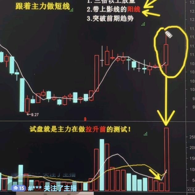 股市接盘侠