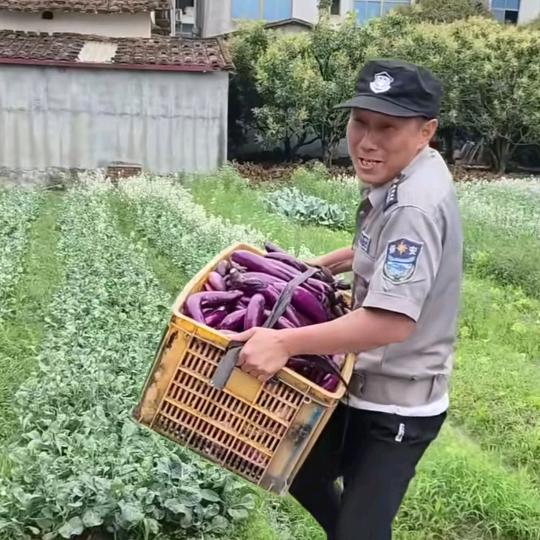 雍正哥