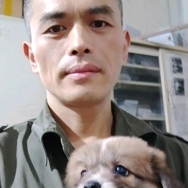 @刚哥@