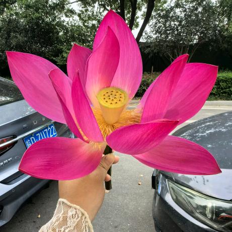 爷爷不泡茶♡