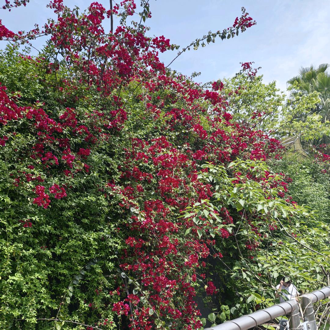 母婴护理师，林林姨（请勿连赞）