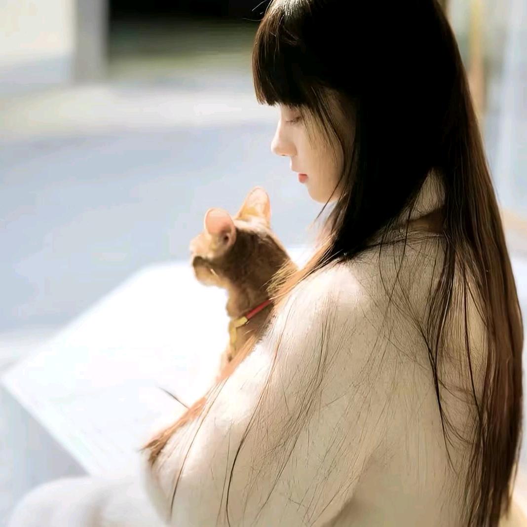 忙碌