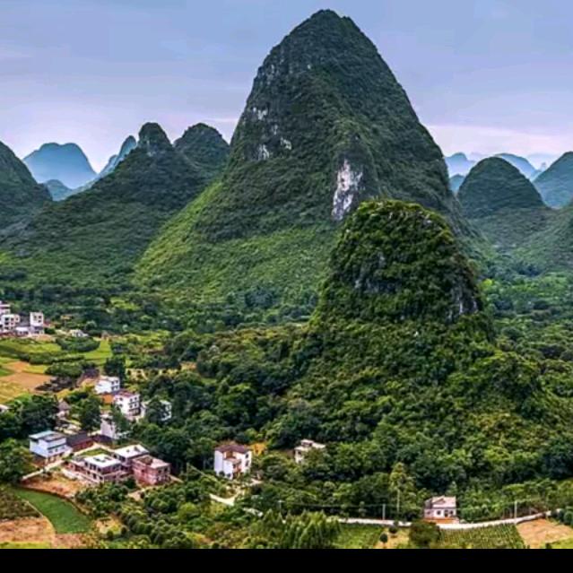 白茶清欢无别事