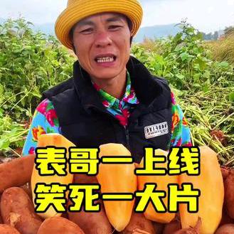 欢仔团队-表弟
