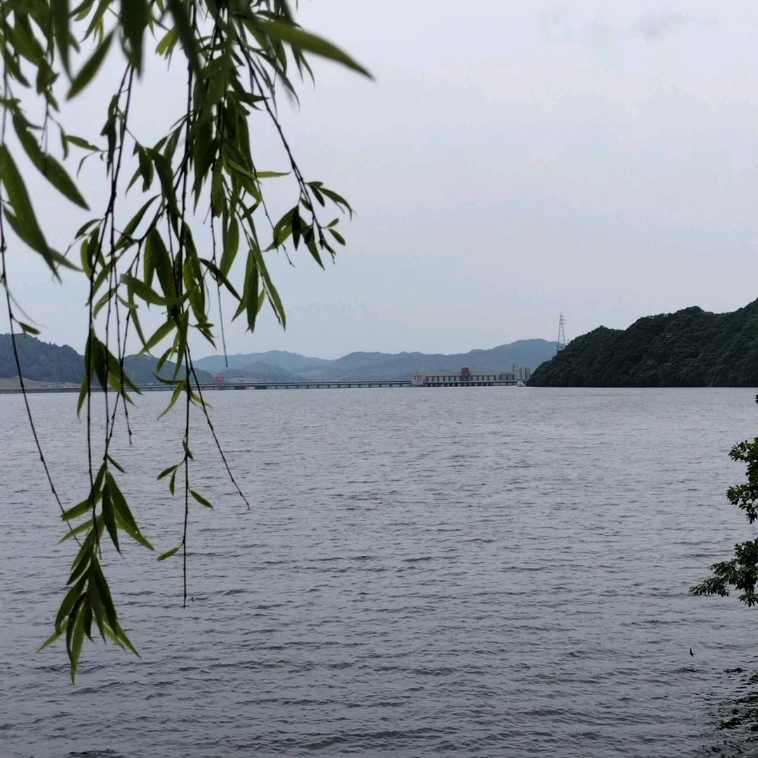 一念清心
