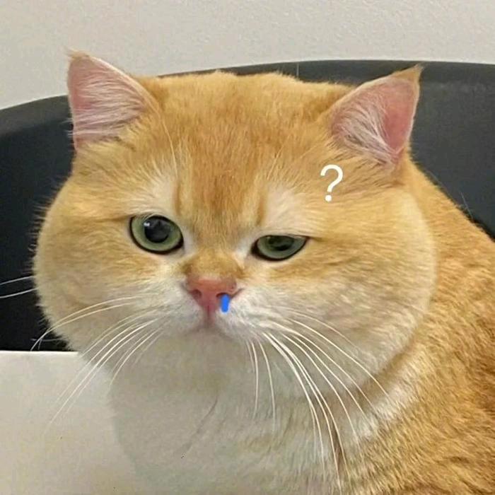 趣味生活