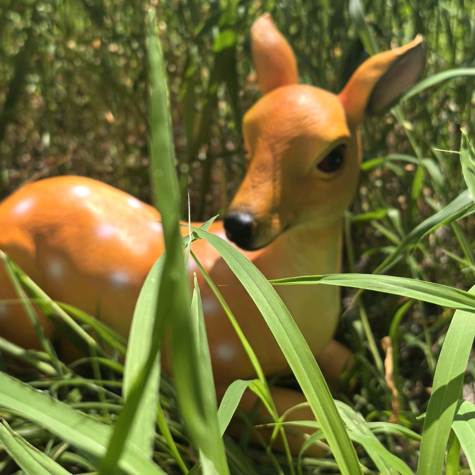 齐齐哈尔北国鹿苑