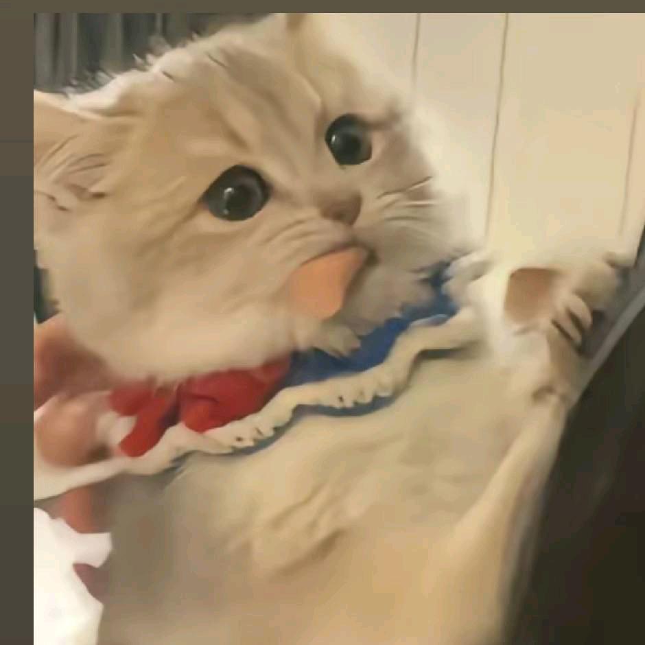 小乐地铁逃生