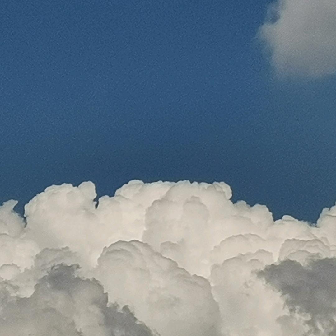小暴