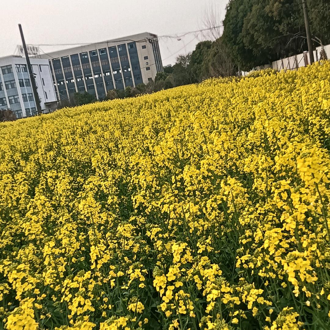 银银