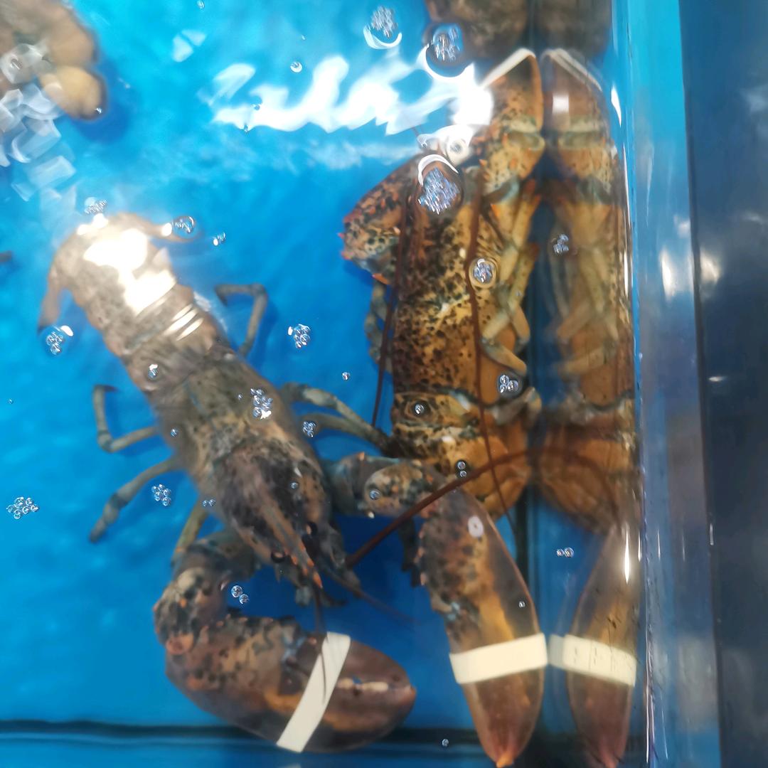 静悄悄