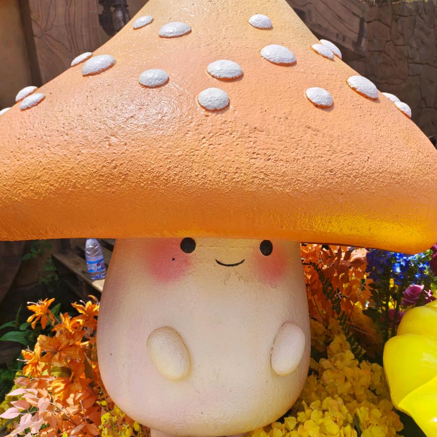 美小小