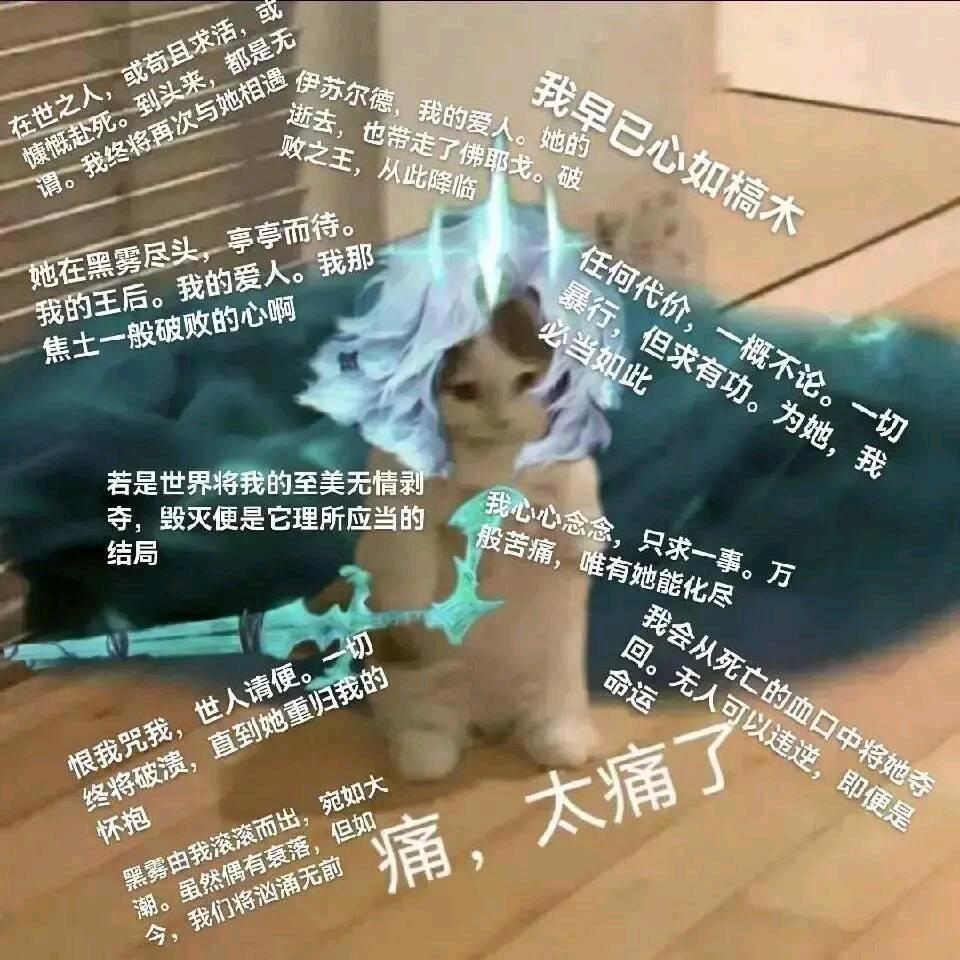 沙漠之狐