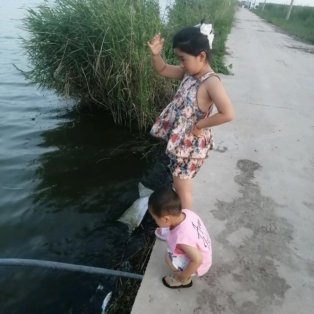 “杨光~
