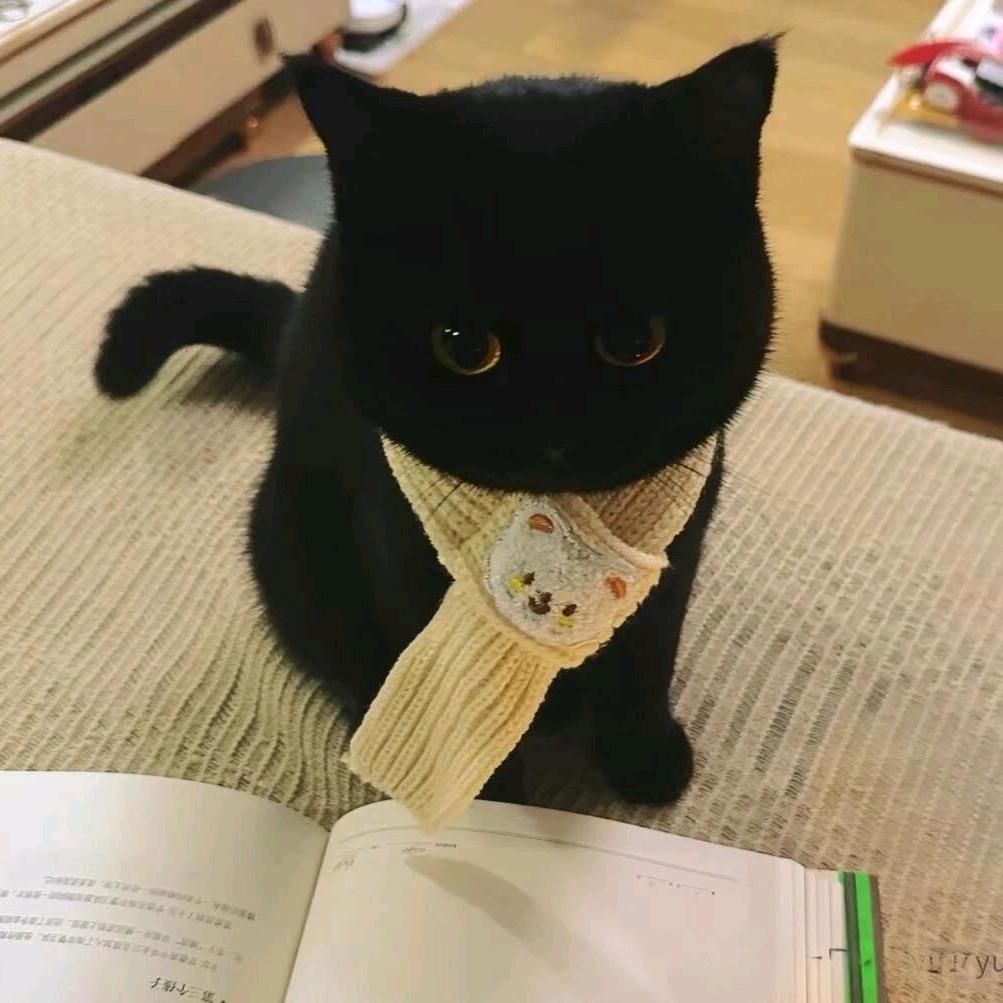 季伯长