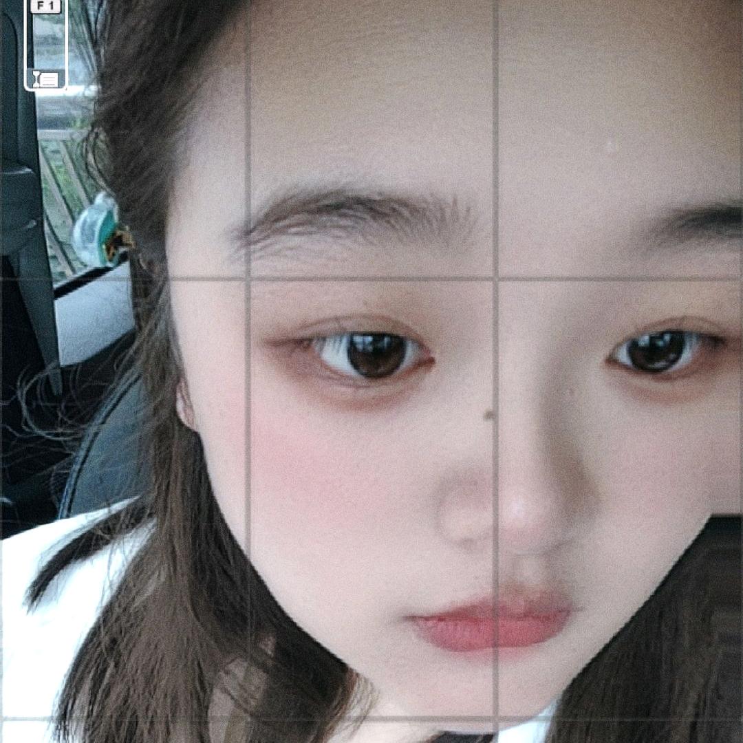 闻花儿的蜜蜂