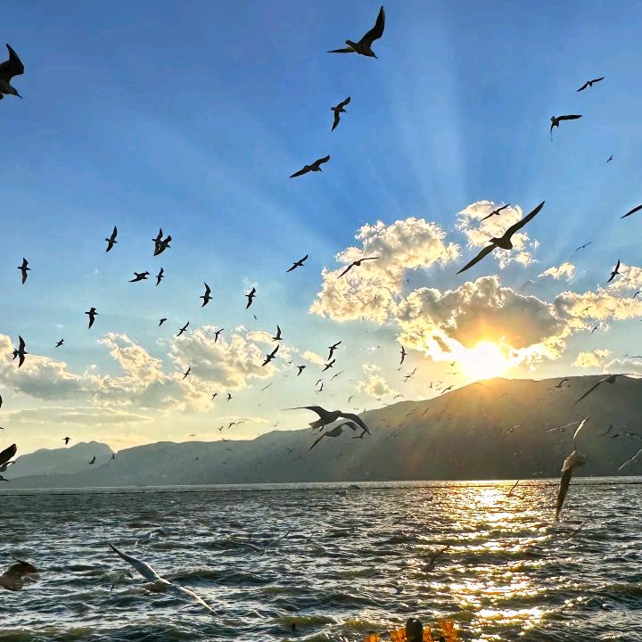 幸福往者福来♥