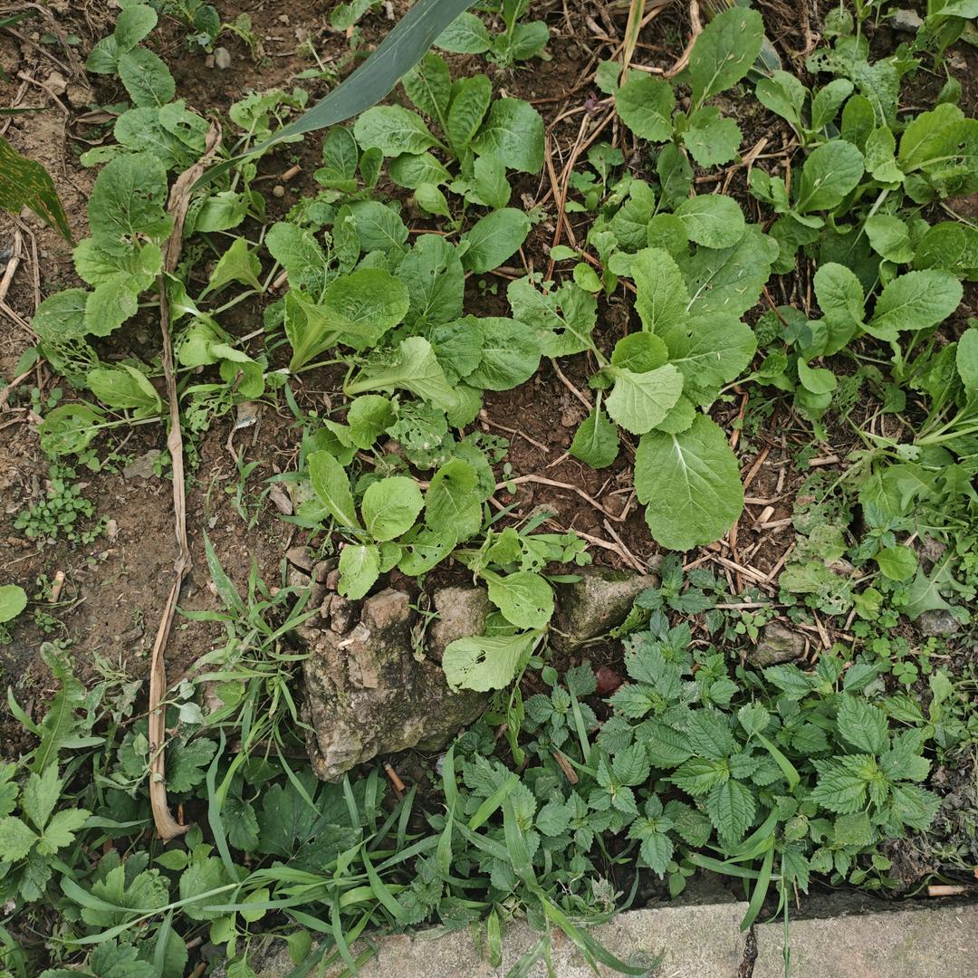 好好珍惜眼前人，不要等到失去了才后悔。