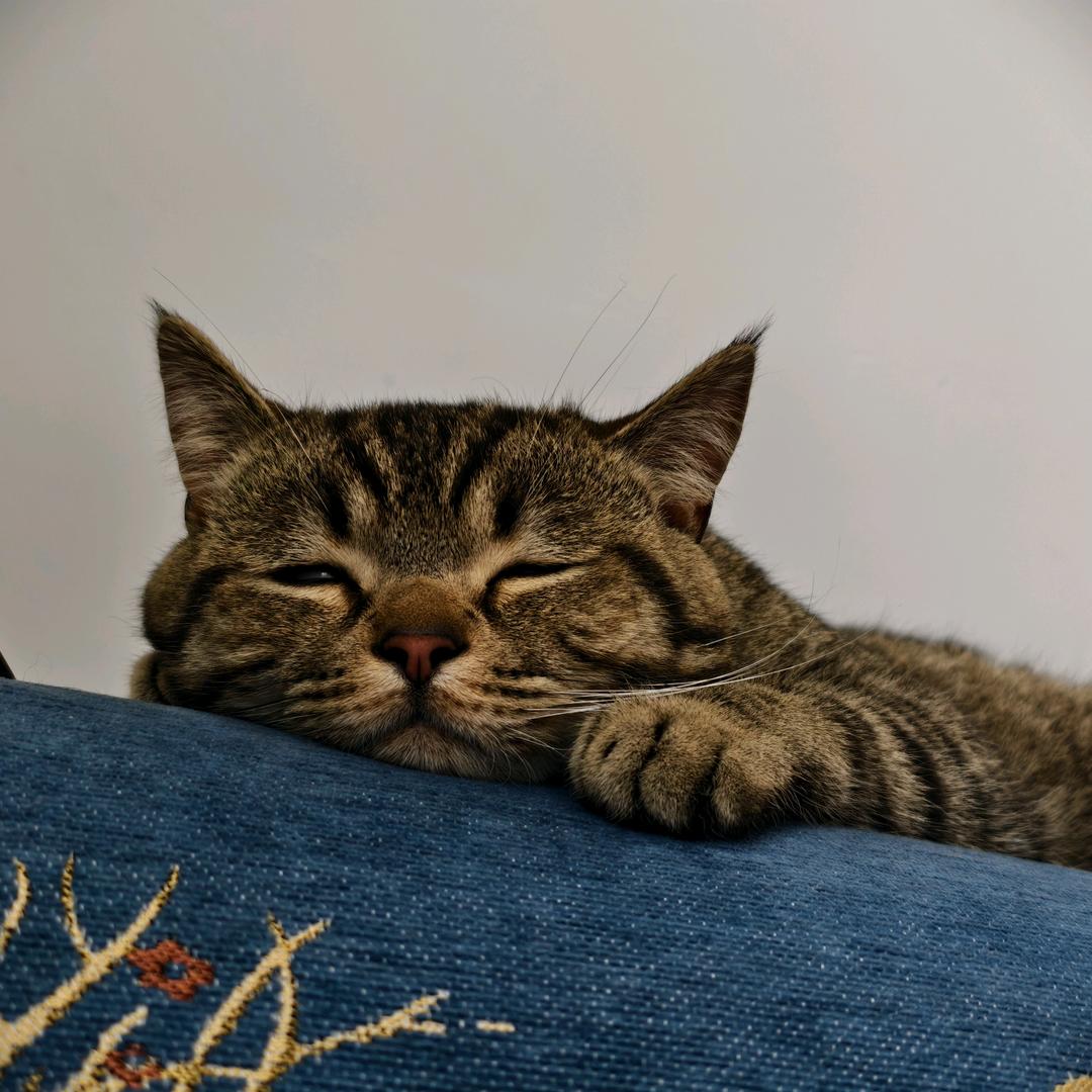 🌈吃鸡蛋灌饼🌈