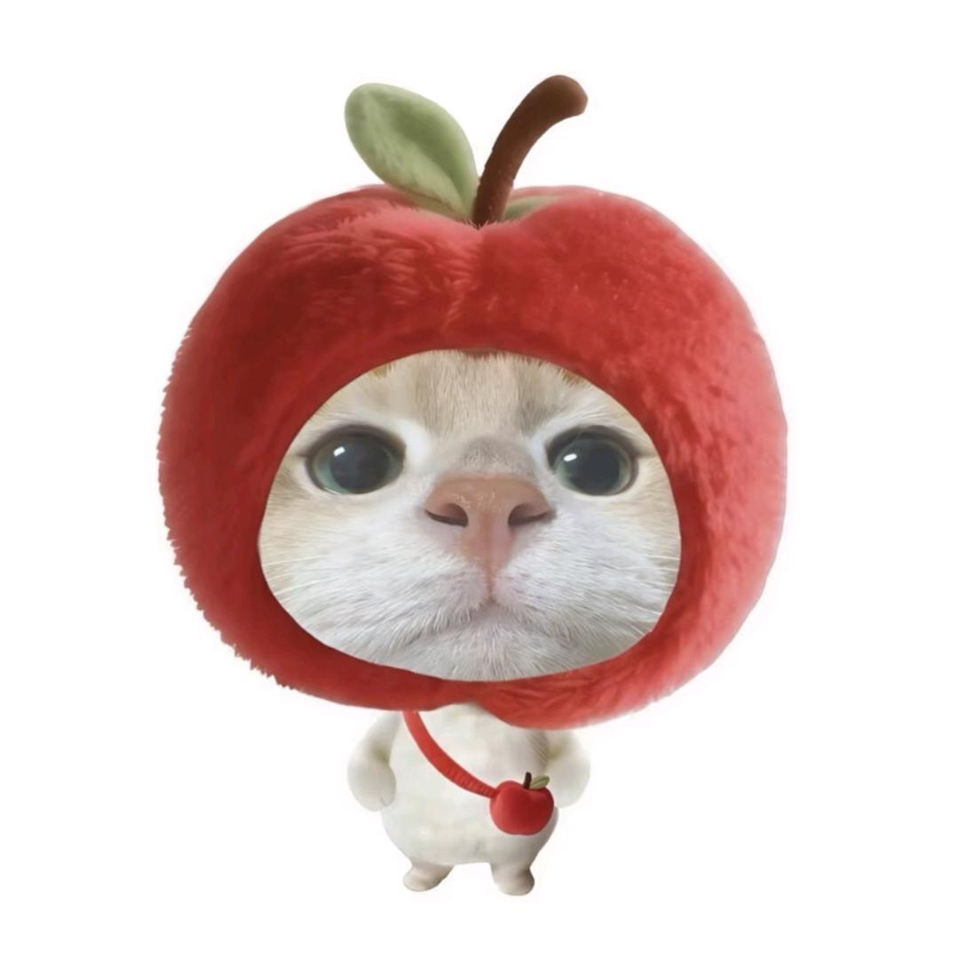 土拨鼠在马尼拉晒太阳