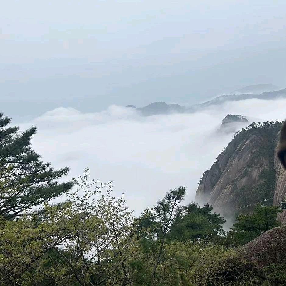 淡听细雨声