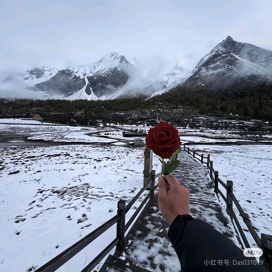 山东吴彦祖