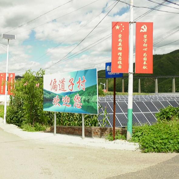 乡村振兴新农人