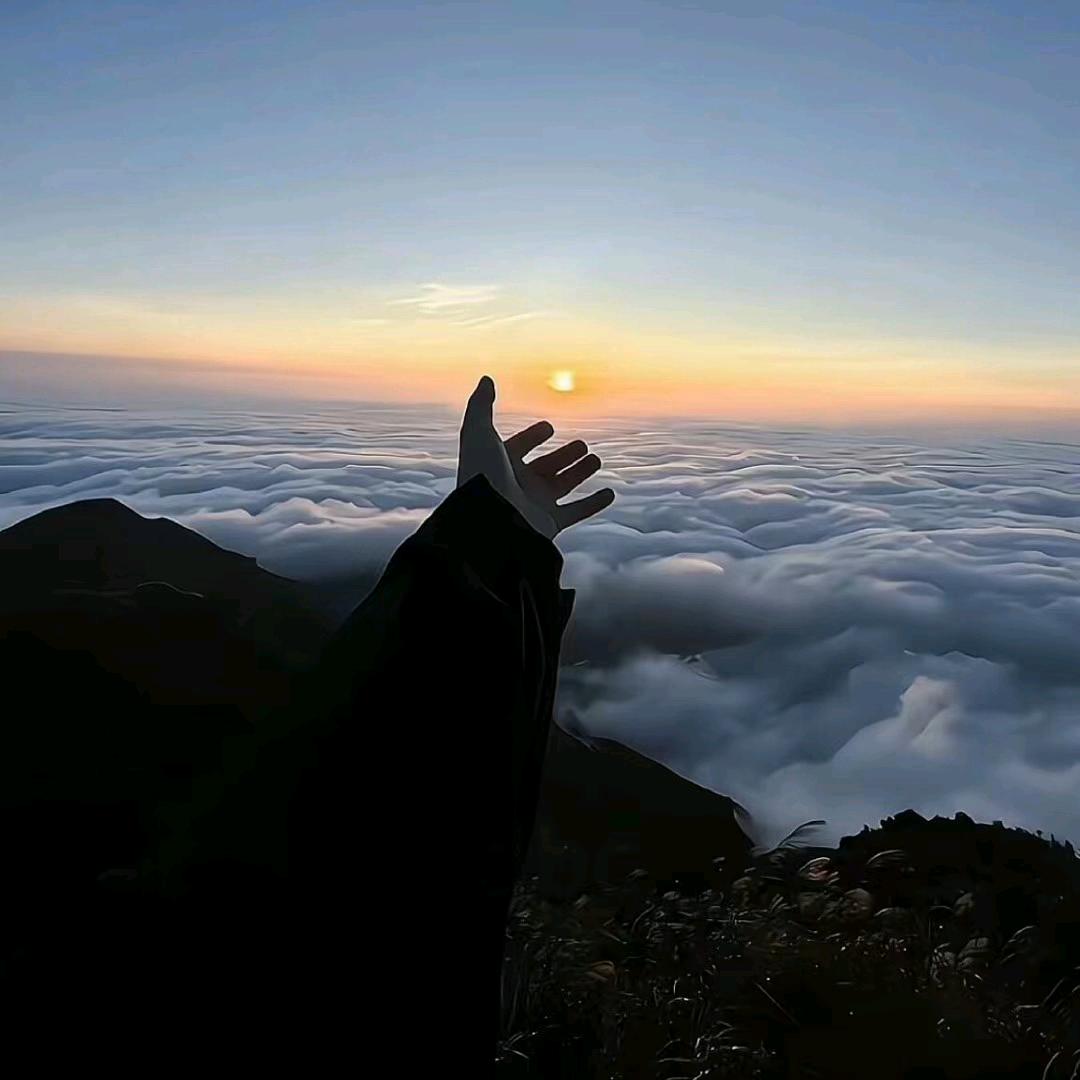 🌈糕冷小俸🌈