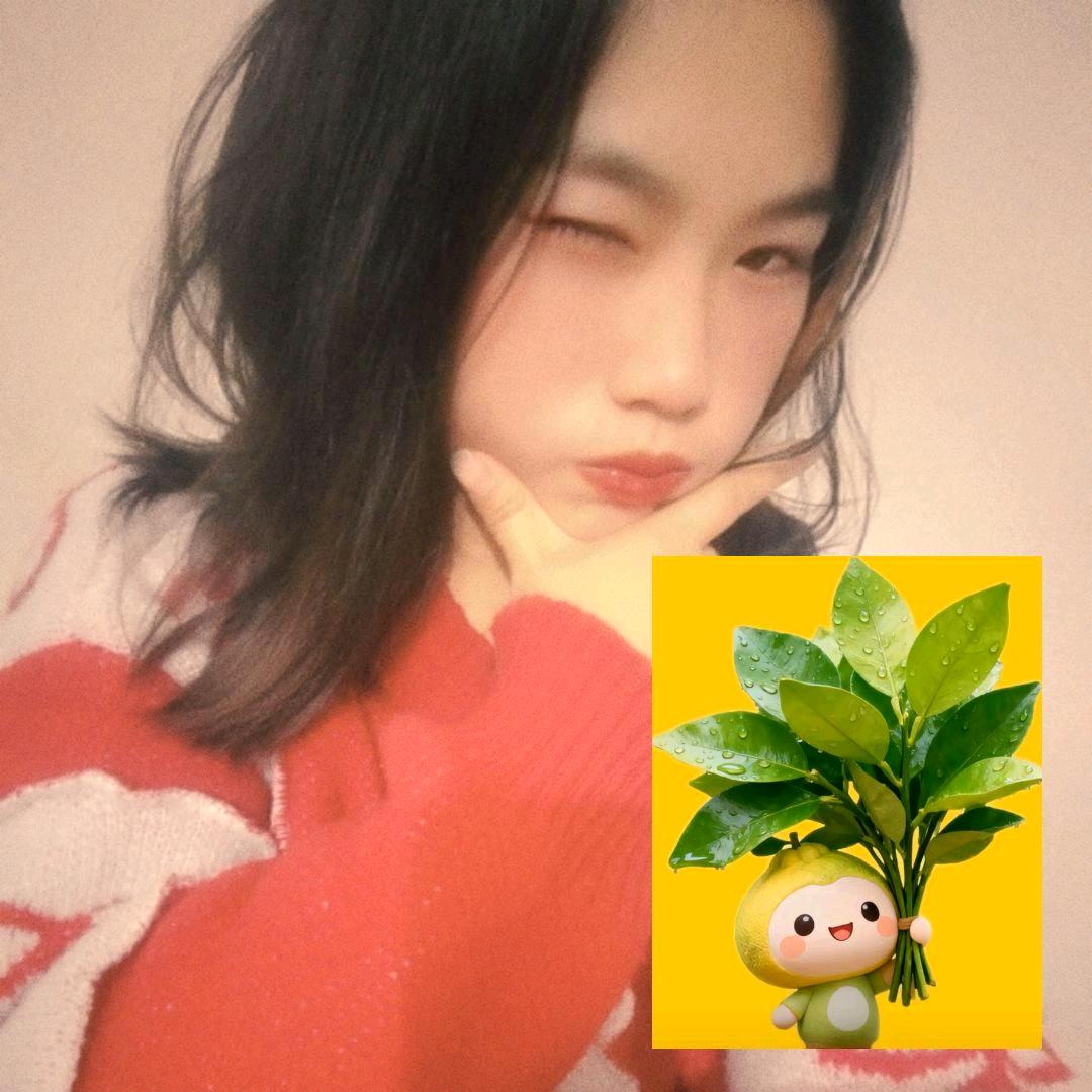 💫睡不醒的小橙子✨