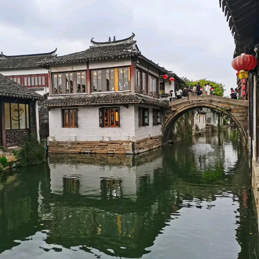 静观